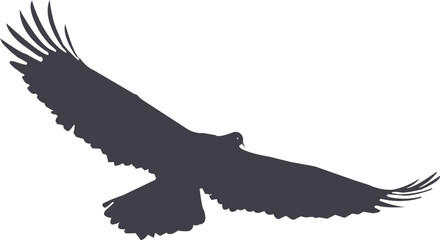 Silhouette of a flying eagle