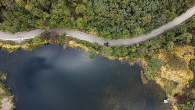 forest, tall trees, lake in the forest - Powered by Adobe