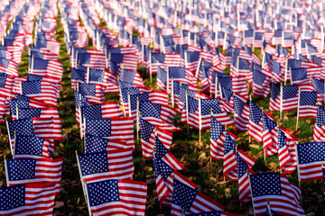 A sunny autumn day in Washington, DC. The US government  shut down. Memorial Day in capital of USA. American flags against the Capitol.
The White House and a multitude of flags.