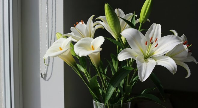 Luminous Lily Bouquet: A delicate display of white lilies, bathed in soft light, casts elegant shadows. - Powered by Adobe