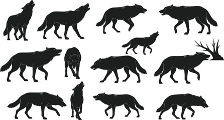 Wolf silhouettes, wild animal vector, howling wolf, walking wolf, running wolf, forest wildlife, black silhouette, wolf pose, animal motion,
