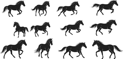Horse silhouette vector, equine motion clipart, black running icon, trotting and galloping pose, animal anatomy graphic, nature design