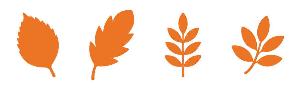 Autumn leaves vector set, colorful fall foliage and black leaf silhouettes, seasonal nature illustration, botanical elements, tree leaf collection, natural decorative design pack