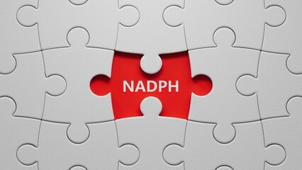 Fototapeta premium The word NADPH is written on puzzle pieces with missing pieces. Medical concept.close up of puzzle pieces with missing pieces,Business Concept.3D rendering.