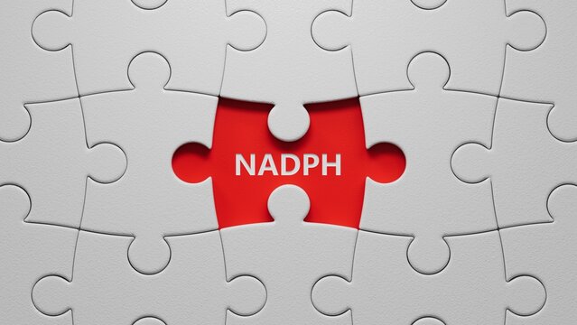 The word NADPH is written on puzzle pieces with missing pieces. Medical concept.close up of puzzle pieces with missing pieces,Business Concept.3D rendering.