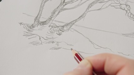 Explore the artistic process of pencil drawing sketches outdoors
