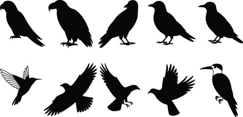 Bird silhouette set, perched and flying birds, wing positions and species variation, black vector illustration, nature icon, white background