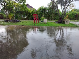 Fototapeta premium family on the river