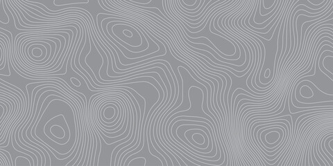 Fototapeta premium Subtle abstract topographic pattern with smooth contour lines on a gray background, creating a modern minimalistic texture ideal for mapping themes, backgrounds, branding,wallpapers,and graphic design