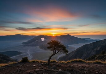 Lonely Tree on Cliff Edge at Sunset