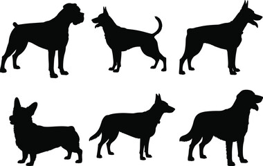 Dog breed silhouette set, standing poses, black vector illustration, canine icon, pet profile, animal figure, white background