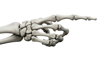 Skeleton hand pointing left transparent background cutout png