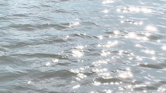 水辺の風景　さざ波　煌めく水面　4K