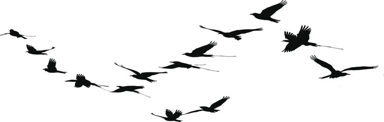 Birds in Flight Silhouette, Migration Vector Illustration, Wildlife Motion Icons, Black Bird Shapes, Nature Animal Design, Sky Movement Art