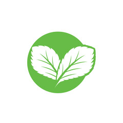Simple mint logo leaf vector and symbol