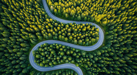 Aerial view of a winding road meandering through a dense forest of vibrant green trees.