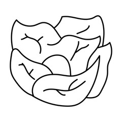 Hand drawn assortment of leafy. Vector illustration of cabbage vegetable icon
