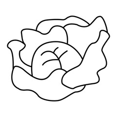 Hand drawn assortment of leafy. Vector illustration of cabbage vegetable icon
