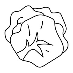 Hand drawn assortment of leafy. Vector illustration of cabbage vegetable icon
