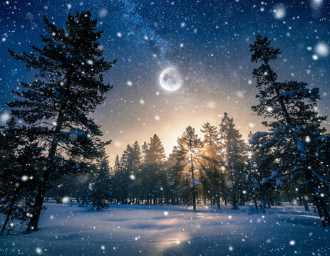 Beautiful Winter Night