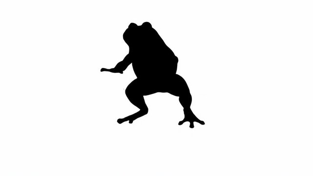 Dark black silhouette of a frog sitting with its back facing the viewer on a clean white background.