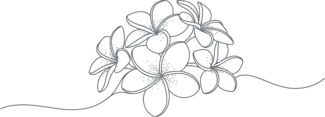 Delicate line drawing of a cluster of plumeria flowers