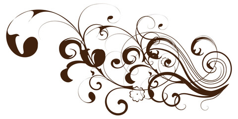 Elegant leaves closeup background plant abstract autumn white foliage nature rose