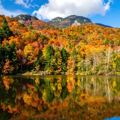 Vibrant Autumn Forest Reflected in Calm Lake