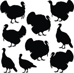 Turkey silhouette vector set, bird pose icons, black wildlife clipart, Thanksgiving animal graphics, nature design elements, festive illustration bundle
