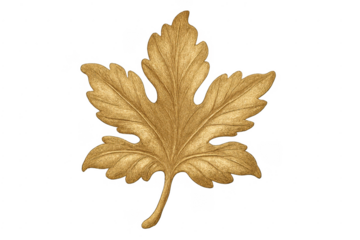 Golden maple leaf drawing with transparent background