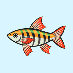 vector illustration of a fish