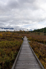 Fototapeta premium Wooden Boardwalk Through Autumn Wetland Toward Mountain Range Under Cloudy Sky in Pemberton