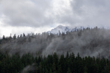 Misty Mountain Forest With Snow-Capped Peaks And Fog Over Pemberton, BC Coniferous Ridge Landscape