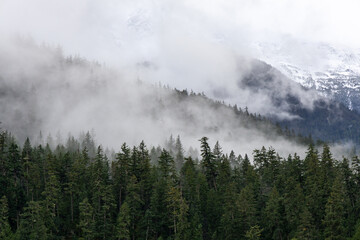 Mist Shrouded Mountain Forest Over Snow-Capped Peaks in Pemberton, BC, Canada