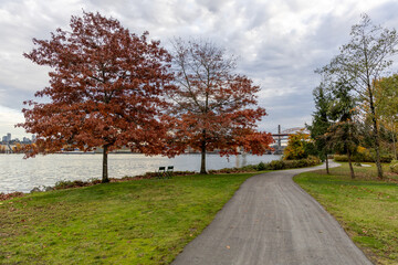 Obraz premium Autumn Riverside Park Path With Red Leaves Near New Westminster, Vancouver, BC