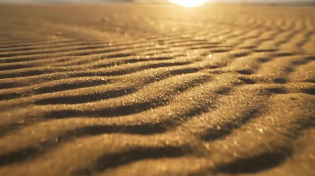 Ripples etched by the tide on sandy shore