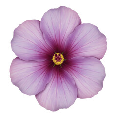 Exquisite lilac blossom illustration featuring delicate petals and a golden core with transparent