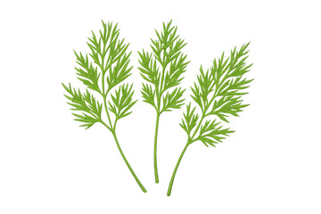 Naklejka premium Dill herb sprigs offering fresh garnish for culinary use