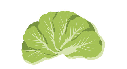 Fototapeta premium Fresh Lettuce Head Illustration Against a Deep Black Backdrop for Diverse Creative Needs