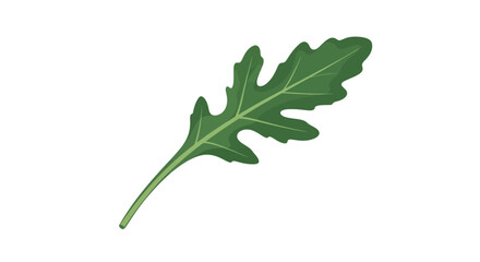 Obraz premium Fresh Arugula Leaf Isolated On Black With Detailed Veins And Elegant Aesthetic