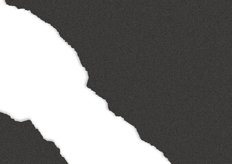 Torn grainy paper with space for copy