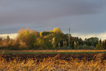 An autumn treeline on the horizon, illuminated by the evening sun, stands out against a heavy,...