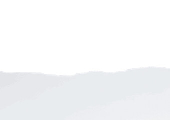 White torn paper for design projects and backgrounds. Print and web background  with text space 