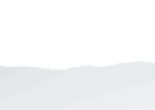 White torn paper for design projects and backgrounds. Print and web background  with text space 