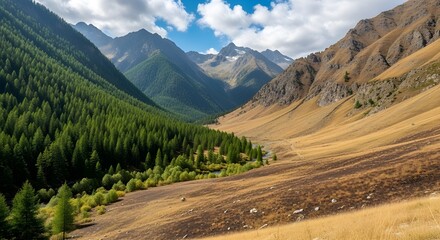 Majestic alpine valley vista showcasing a vibrant green forest meeting a sunkissed golden slope under a partly cloudy sky, with distant snowcapped peaks