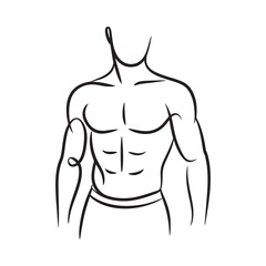 Line art illustration of a muscular male torso and arms