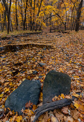 741-08 Autumn Rocks