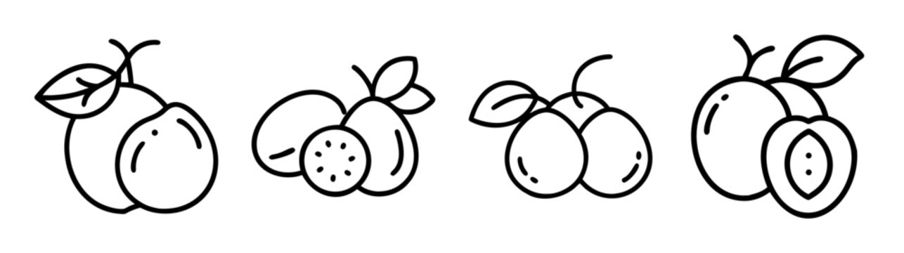 Hand drawn marula fruits and slices isolated graphic elements for your designs