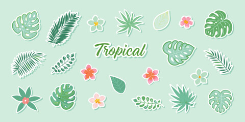 Collection of tropical leaves and flowers with the word tropical on a light green background