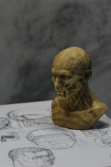 Anatomy sculpture of human head on detailed drawing